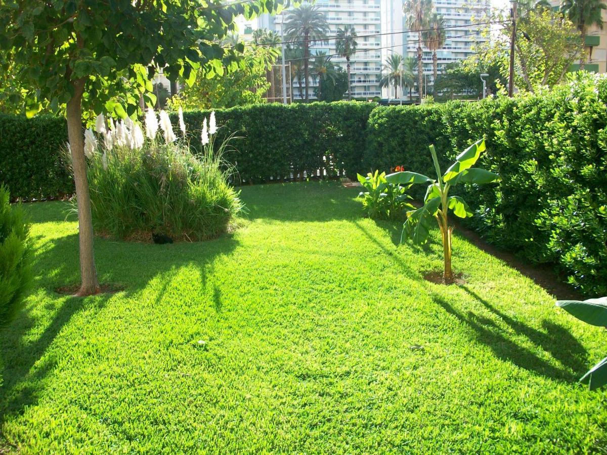 Ferienwohnung Don Ximo Gandia - Alquiler Solo Familias Playa de Gandia Exterior foto